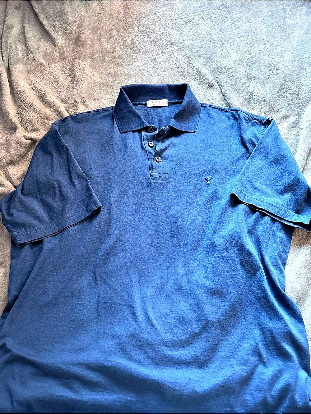 Ralph Lauren Men's Cotton Polo in Blue